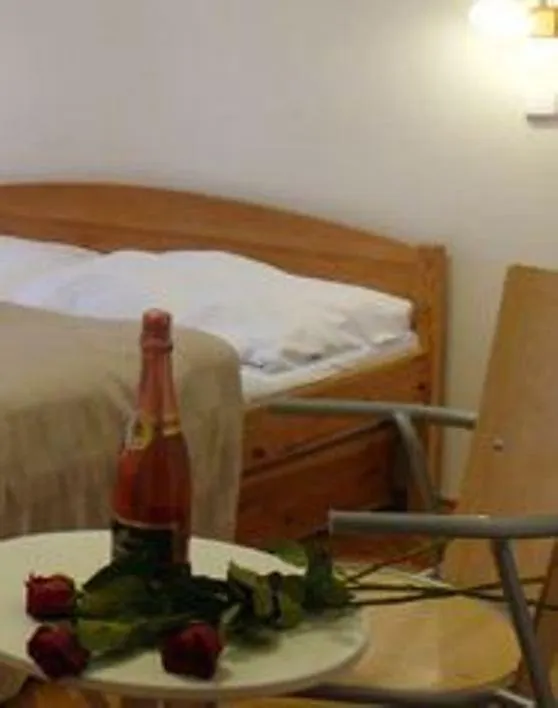 Hotel Pension Prague City